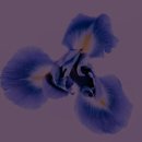 자연민박 이미지