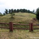 (주)삼영관광 일출랜드 이미지