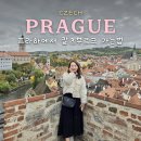 예산군 버스투어 | 프라하에서 잘츠부르크 가는법 기차 버스 투어 비교 추천