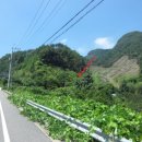 대둔산로(2) 이미지