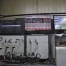 곰식이카 이미지