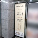 영종도 하늘도시미용실 하이누크헤어 매트브라운 염색 후기