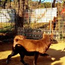 금옥이네 이미지