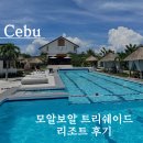 [세부 여행] 모알보알 숙소 모알보알 트리쉐이드 리조트 후기