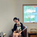 미주네과일