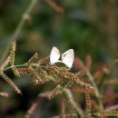 부원농장 이미지