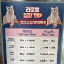 멍이와 쿤이 이미지