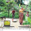 샘물세탁소 이미지