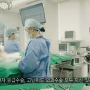 진접동물병원 이미지