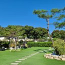 힐링애견 이미지