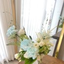 사파동335 이미지