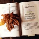 하영공인중개사사무소 이미지