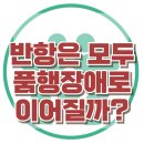 [적대적 반항장애, 정말 품행장애로 이어질까요?] 한국아동청소년심리상담센터 이미지
