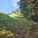 신기리 고분군 이미지