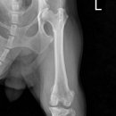 삼화 우수한 동물병원 이미지