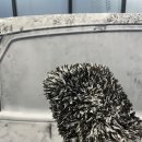 원일셀프세차장 이미지