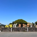 명노형농장 | [여행] 제주도 - 노형슈퍼마켙, 곽지해수욕장, 금오름, 야시장 등등