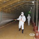 초평농장 이미지