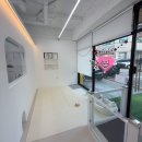 퓨어멍 | 🐶 쌍촌동 강아지미용 ‘퓨어멍’ 첫 방문 솔직 후기