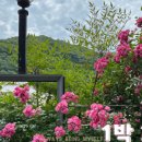 운말참숯갈비 이미지