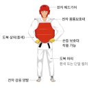 효자¡태권도 Daum카페