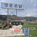 강운식당 이미지