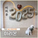 이리온(IRION) 이미지