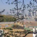 시영아파트 이미지