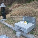 대곡건강원