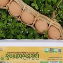 정아네먹거리