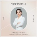 윙밸스킨