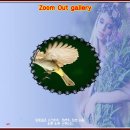 Zoom Out gallery 이미지