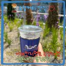 어레인지먼트 커피 | 아침부터 기분 좋은 발견 ☕, 드립커피 맛집'어레인지먼트 수성대점' 내돈내산 솔직후기