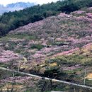 소야경로당 이미지