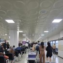 블루오션해운(주) | 추자도 가는 배편 예약 방법 / 주의사항 / 나오는 배 결항후기ㅜ