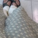 서울검사(주) 네이버블로그