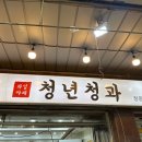 청년청과 이미지