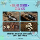 장승포초등학교 병설유치원 이미지