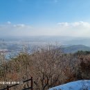 단지장골 티스토리