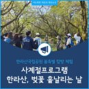 관음사의 왕벚나무자생지 | 한라산국립공원 봄향기 가득한 사계절프로그램 특별한 탐방체험기