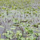 이상근농장 이미지