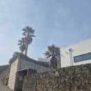 풍정 | 제주도 풀빌라 애월 독채 펜션 추천 고급진 풍정스테이 제주