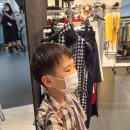 현대디큐브레노마