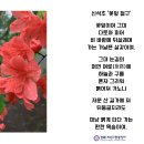 꽃잎 절구 / 신석초 이미지