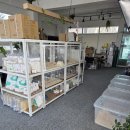 메다카린 이미지