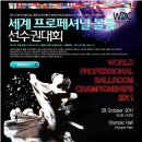 (주)프로페셔널 Daum카페