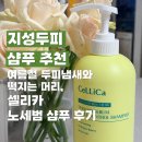 머리하는 오후 | 지성두피 샴푸 추천 여름철 두피냄새와 떡지는 머리, 셀리카 노세범 샴푸 후기