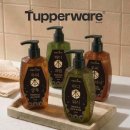 타파웨어 까치울점 이미지