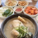 창원 중동 맛집 백제13월삼계탕 내돈내산 후기
