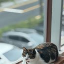 미유 하우스 | 광주 미유 스튜디오 / 아우어하우스 후기 [ 메리미 시아플 ]